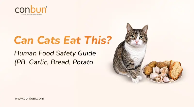 Can Cats Eat Human Food? (PB, Garlic, Bread, Potato)